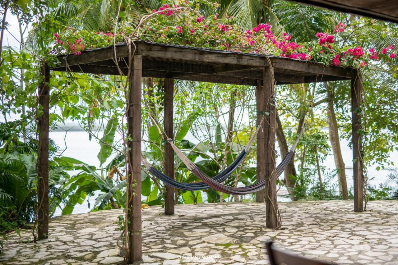Hotel Gringo Perdido El Remate Eksteriør billede