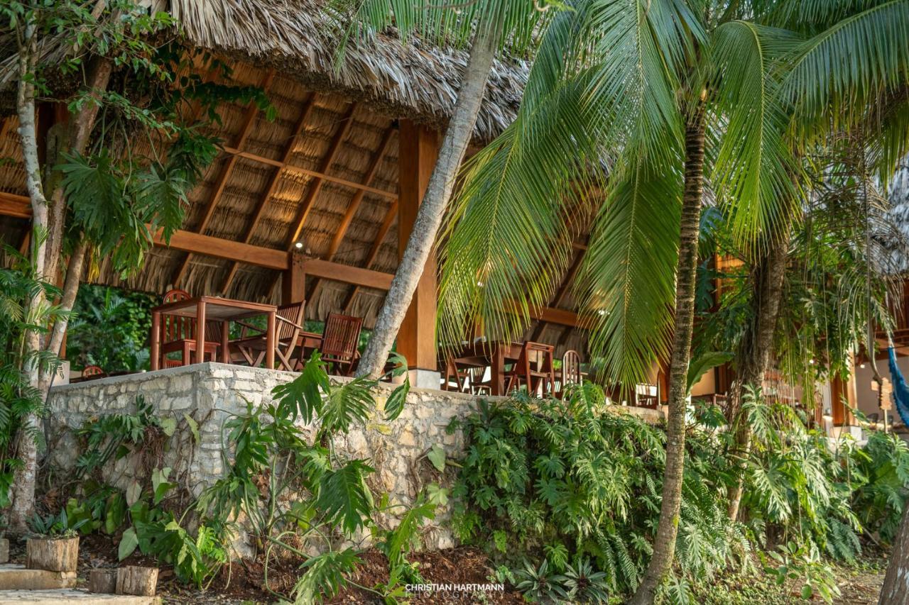 Hotel Gringo Perdido El Remate Eksteriør billede
